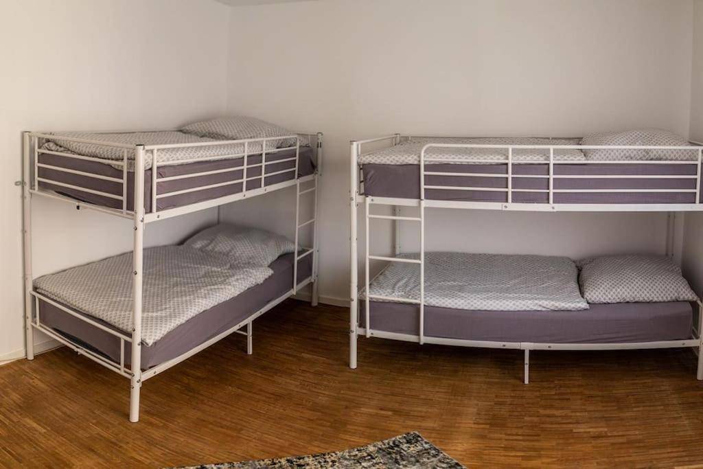Wunderschoene Neue 3,5 Zimmerwohnung Naehe Kassel Bis 4 Erwachsene 3 Kinder Fuldatal 외부 사진