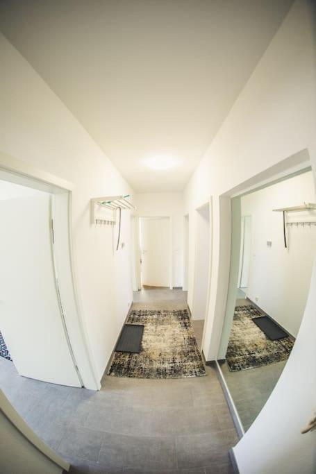 Wunderschoene Neue 3,5 Zimmerwohnung Naehe Kassel Bis 4 Erwachsene 3 Kinder Fuldatal 외부 사진